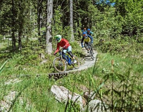 Bikepark Wagrain © Wagrain-Kleinarl Tourismus