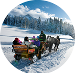 Pferdeschlittenfahren in Kleinarl © Wagrain-Kleinarl-Tourismus 